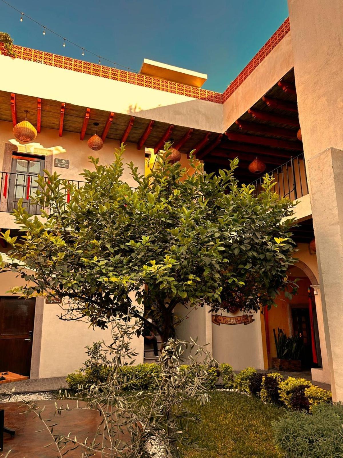 Bito'S Hotel Boutique San Miguel de Allende Exterior foto